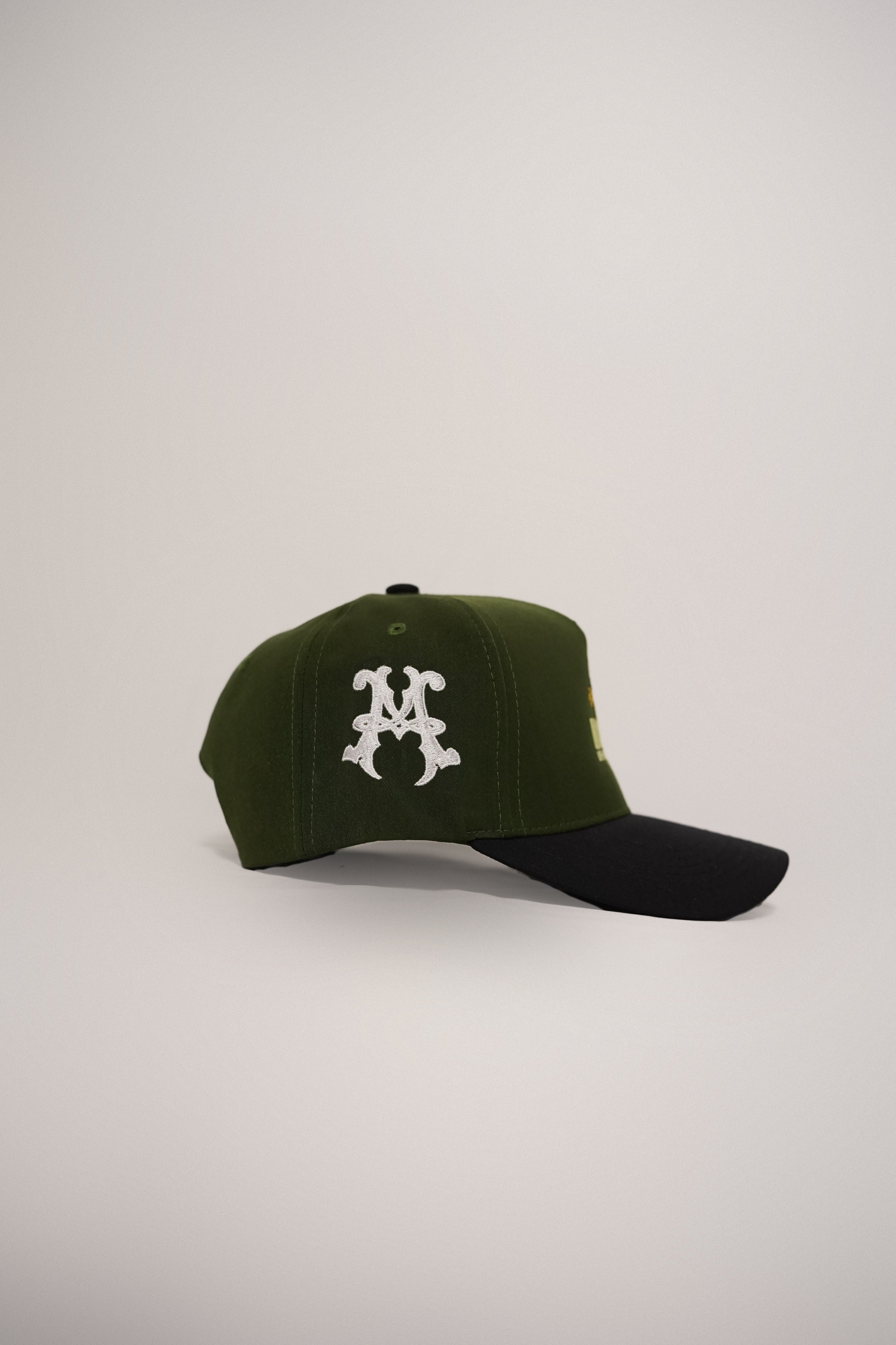 Fort Collins  Snapback