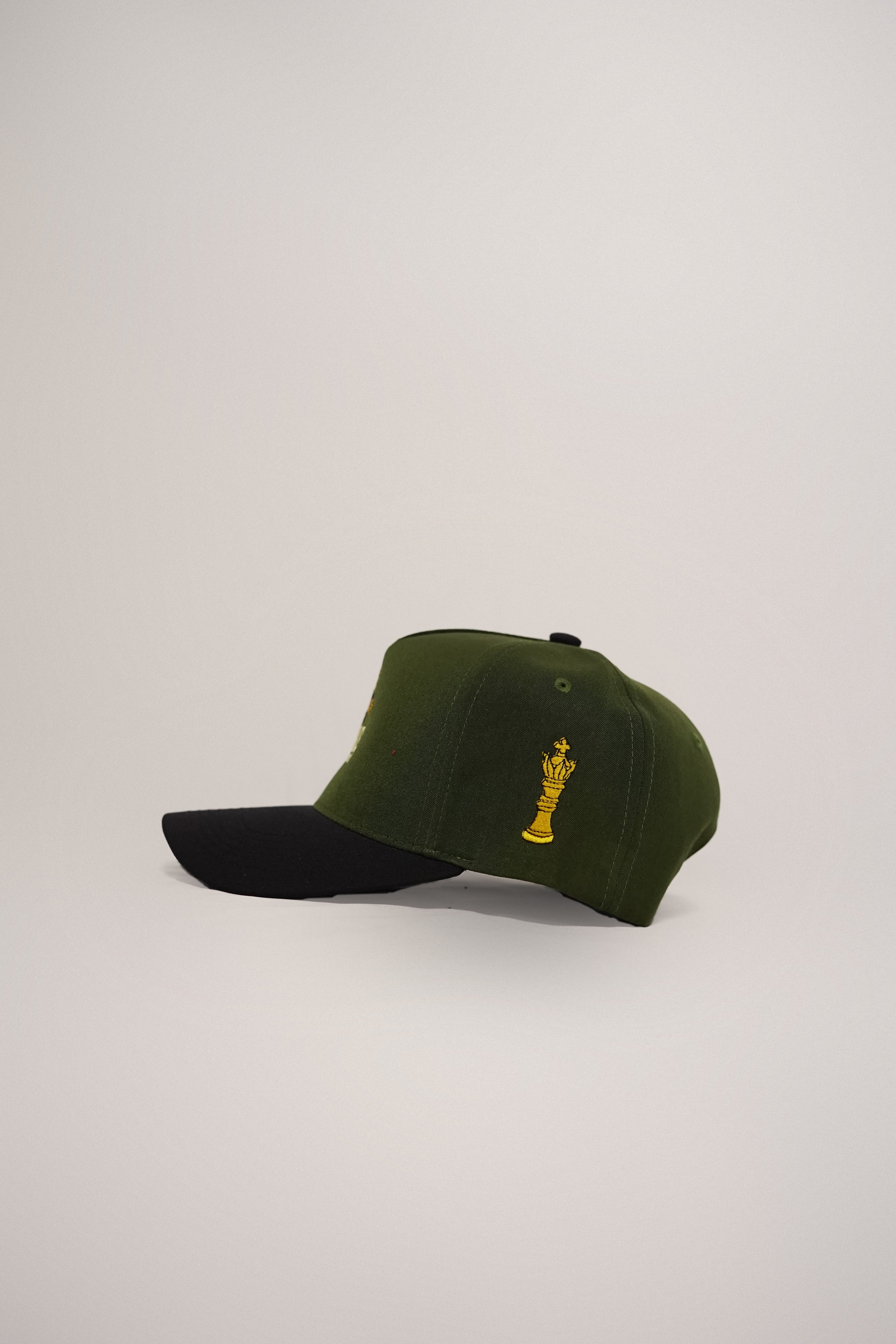 Fort Collins  Snapback